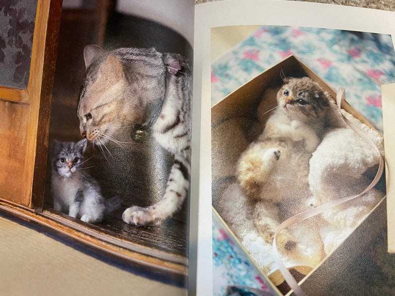 I LOVE to make them mine Needle Felt Realistic KITTENS and CATS Japanese Craft Book image 9