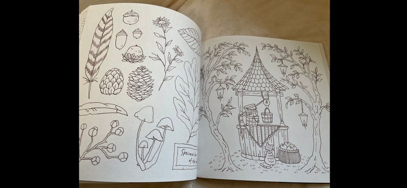 Puede incluir: Libro abierto con ilustraciones detalladas en blanco y negro. Una p&aacute;gina presenta dibujos bot&aacute;nicos de plumas, bellotas, setas y flores. La otra p&aacute;gina muestra un pozo con un gato y una cesta de manzanas.