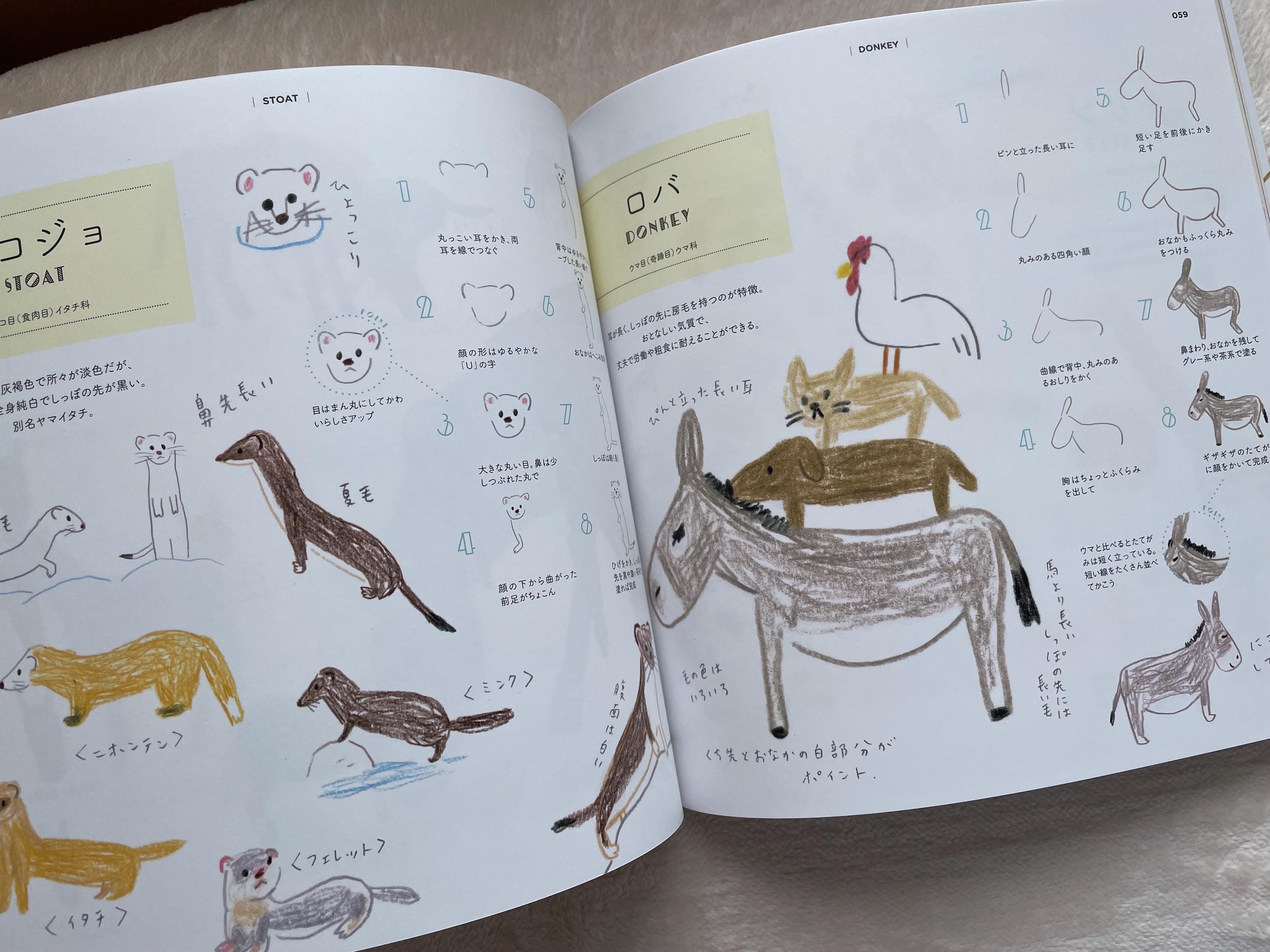 How to Draw Zoo Animals Illustration Lesson Book - Japanese Craft Book ...