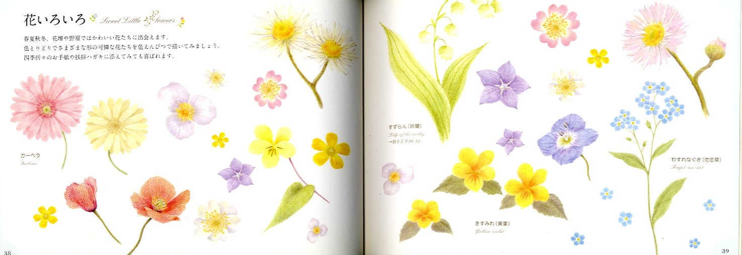 How To Draw Pretty Illustrations With Colored Pencils Etsy India