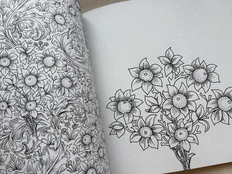 May include: Open book with black and white floral illustrations. One page features a detailed pattern of flowers and leaves. The other page displays a tree-like arrangement of flowers with leaves, all in line art style.