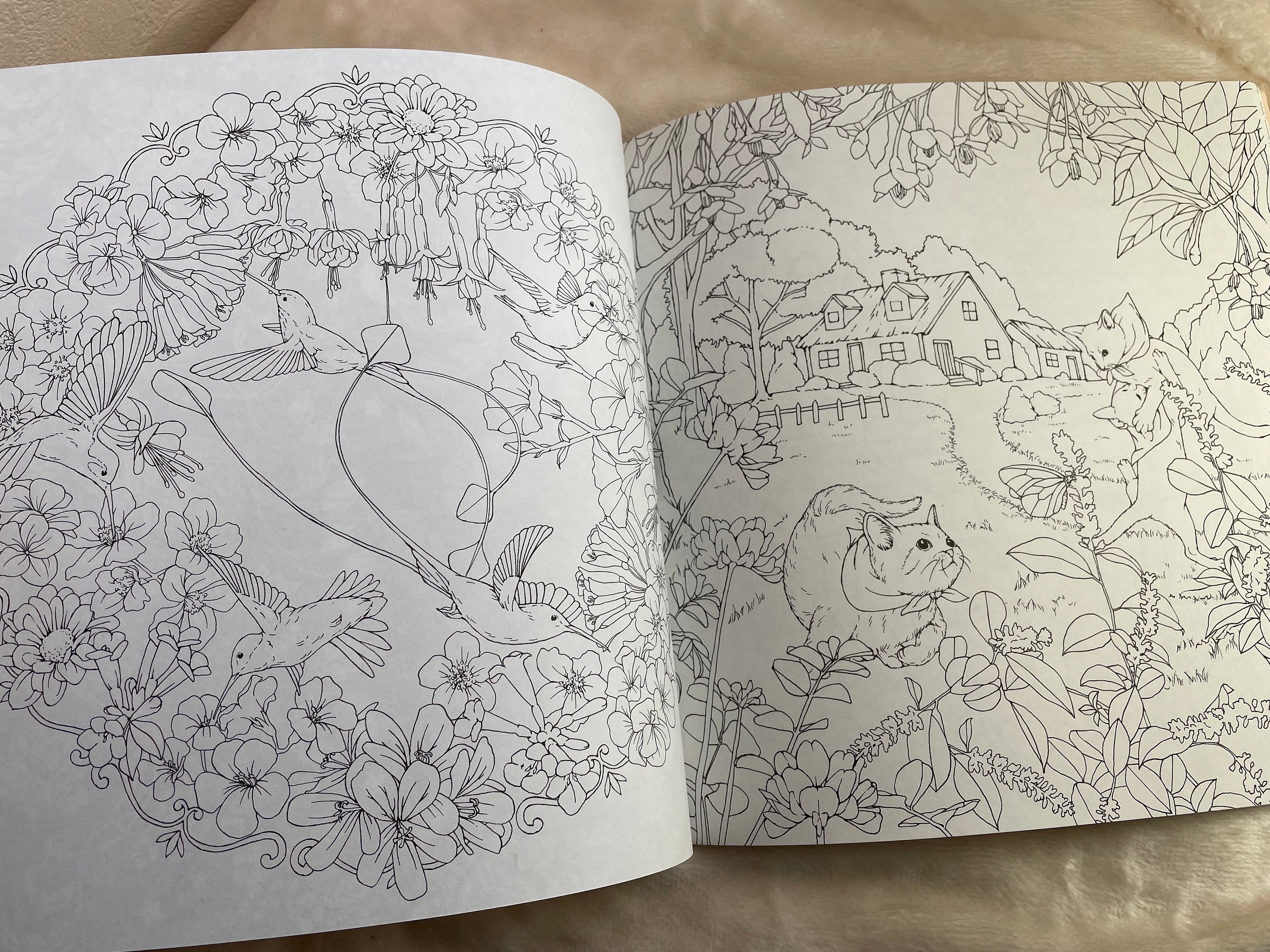 Japan Adult Coloring Book. Disney Girls & Flowers. Book Flip & Review 