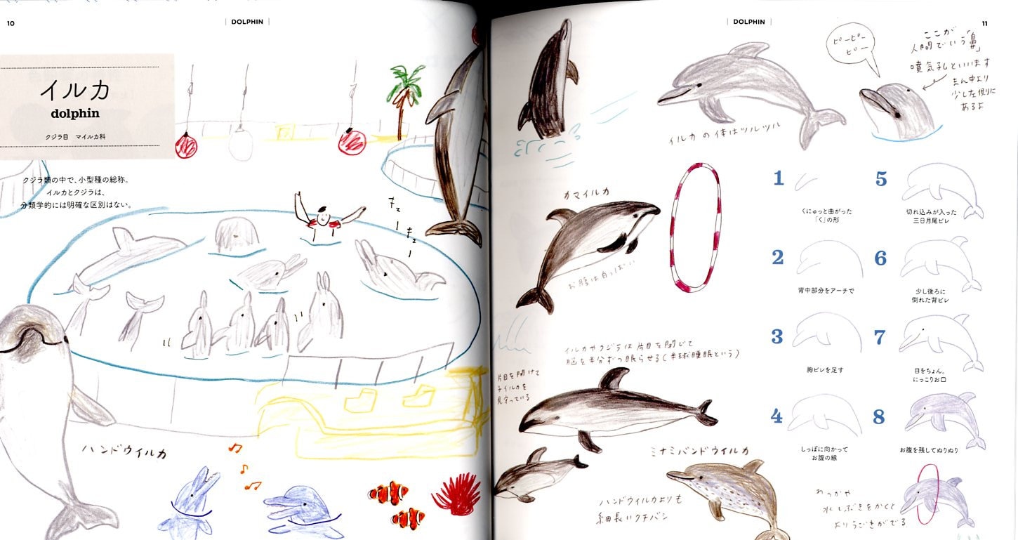 How to Draw Aquarium Animals Illustration Lesson Book - Japanese Craft ...