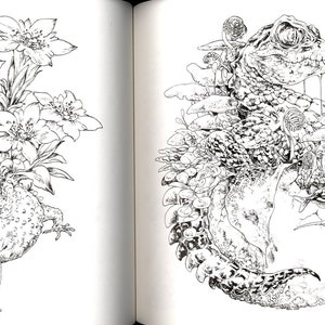 Ken Matsuda Coloring Book Japanese Coloring Book | Etsy