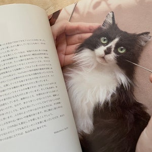 Ritratto di un gatto realizzato in feltro di lana Come realizzare WAKUNEKO Libro di artigianato giapponese immagine 5