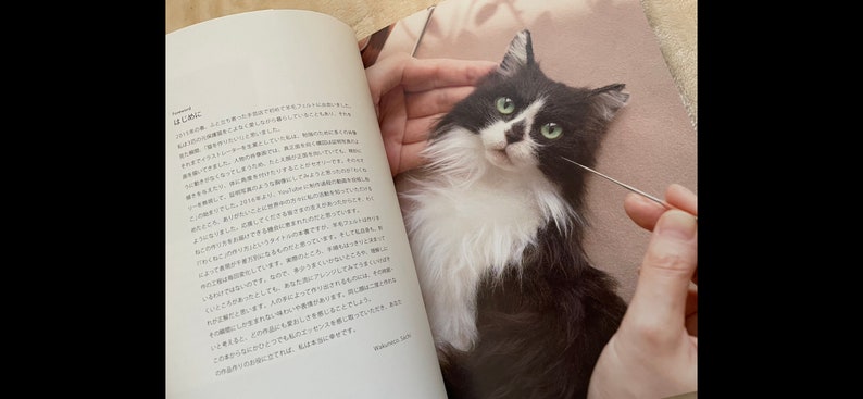 Portrait d'un chat en feutre de laine Comment faire WAKUNEKO Livre d'artisanat japonais image 5