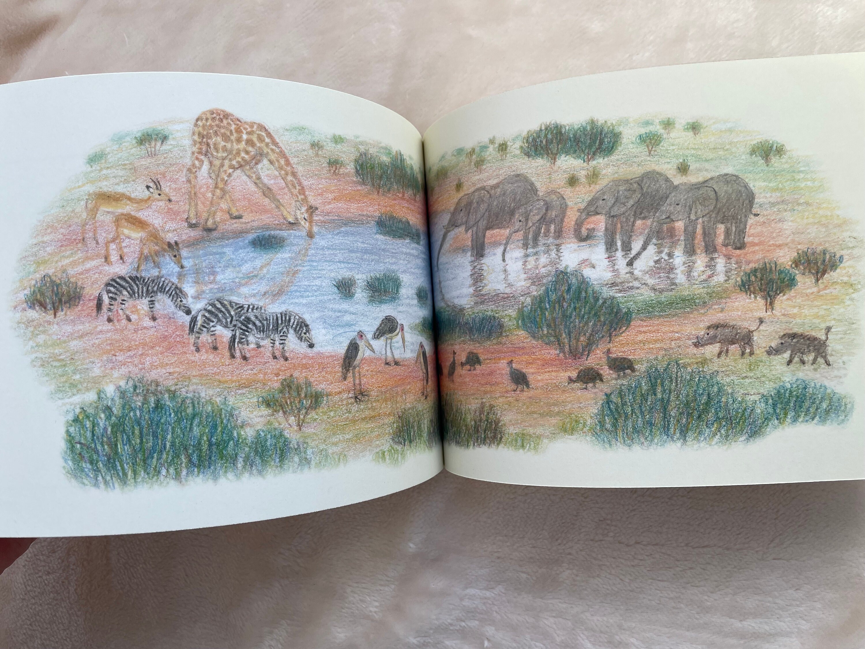 How to Draw Animals Illustration Lesson Book - Japanese Craft Book - Etsy