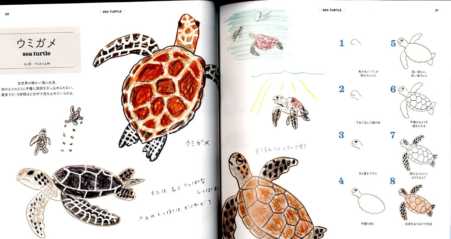 How to Draw Aquarium Animals Illustration Lesson Book - Japanese Craft ...