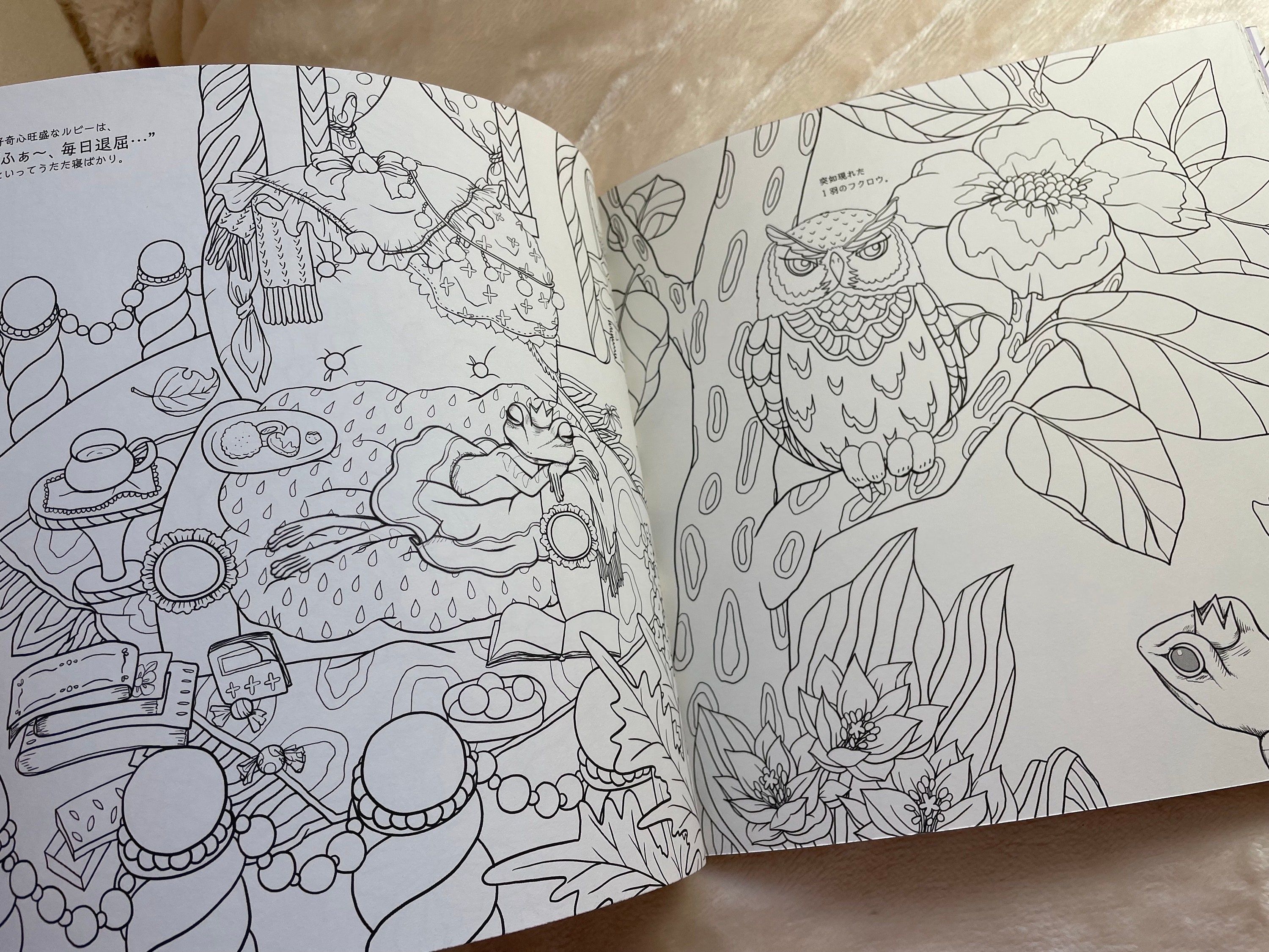 Adult Disney - The world of Dreams Coloring Book - Inko Kotoriyama 