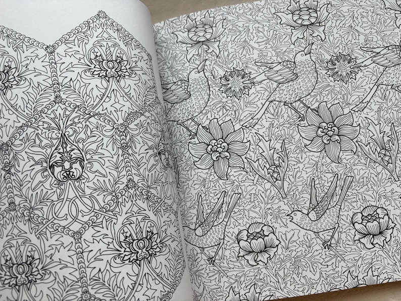 May include: Open book pages featuring intricate black and white floral and bird illustrations. The detailed drawings include stylized flowers, leaves, and birds, creating a pattern suitable for coloring or artistic projects. The design is reminiscent of vintage botanical art.