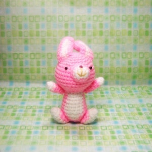 Girl in a Bunny Suit and Her Pet Amigurumi Crochet Pattern Instant PDF Download image 4