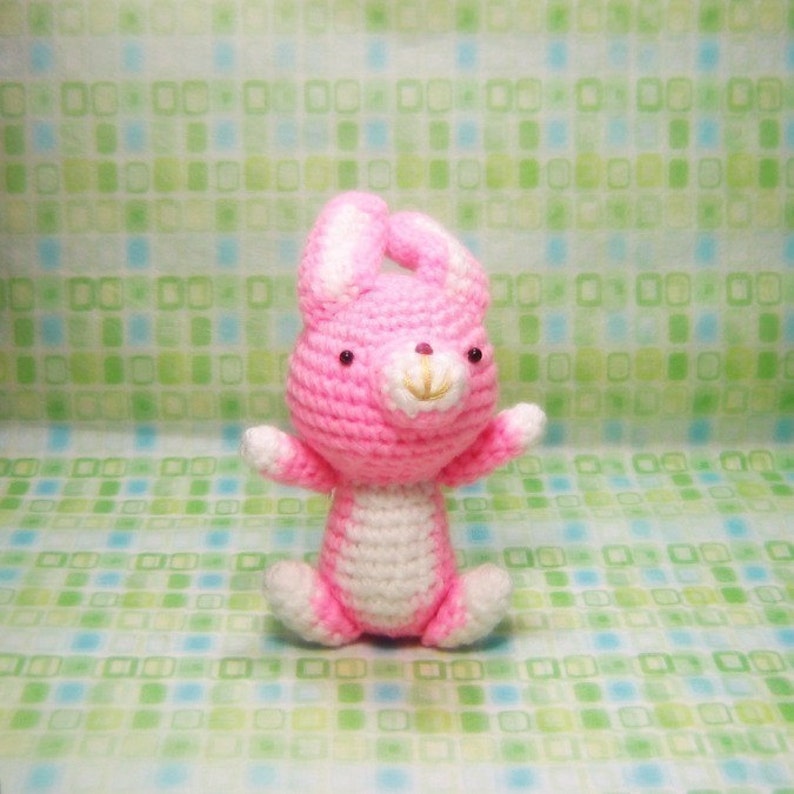 Girl in a Bunny Suit and Her Pet Amigurumi Crochet Pattern Instant PDF Download image 4