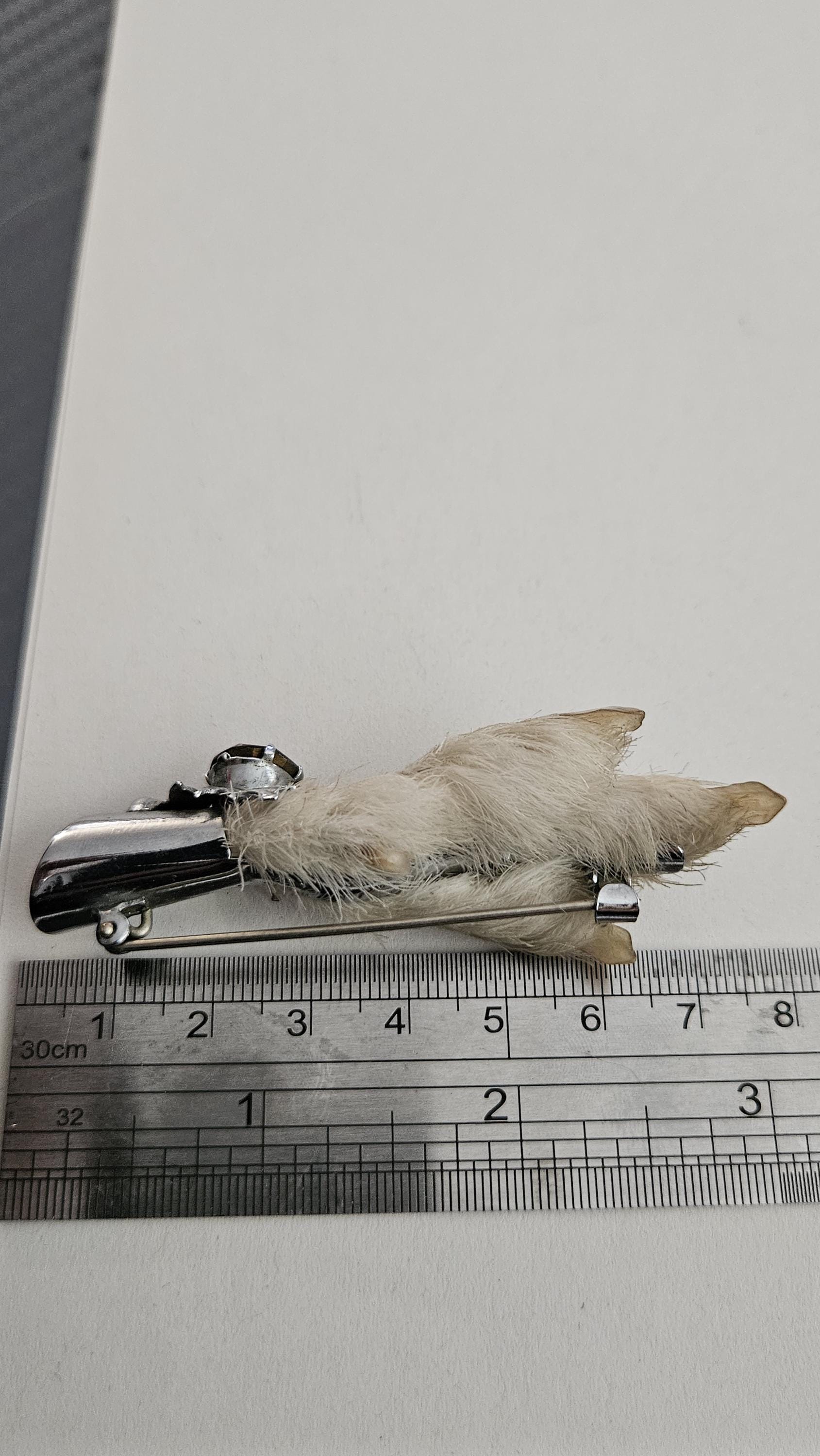 ヴィンテージ スコットランド ケルト グラウスフット サイン入り