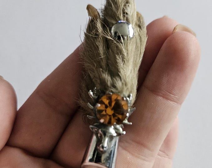 Vintage Scottish Celtic Taxidermy Lucky Grouse Rabbit Foot Stag Head ...