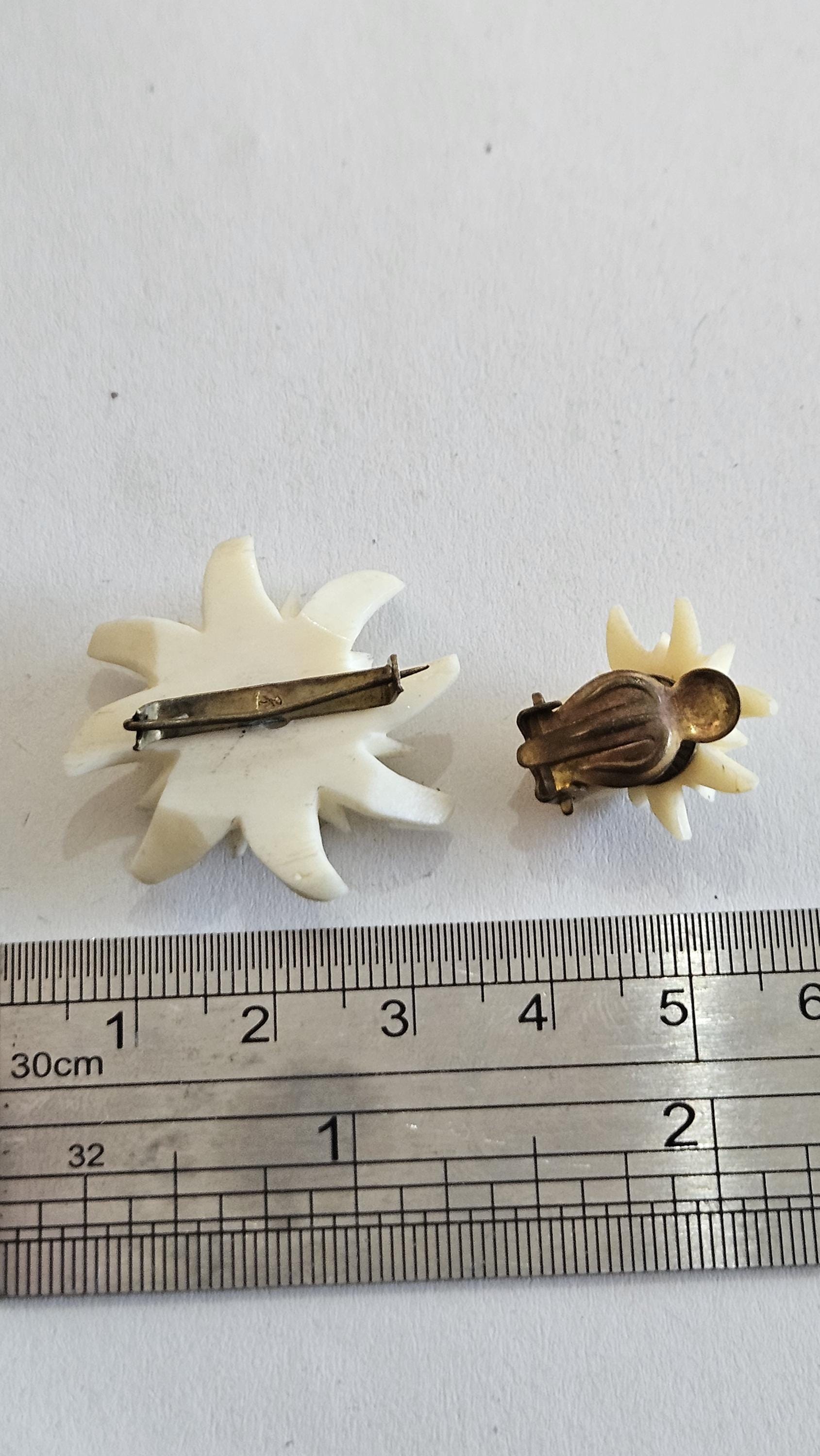 Ancienne broche en lucite, décor floral edelweiss . Ma réf. EB AE