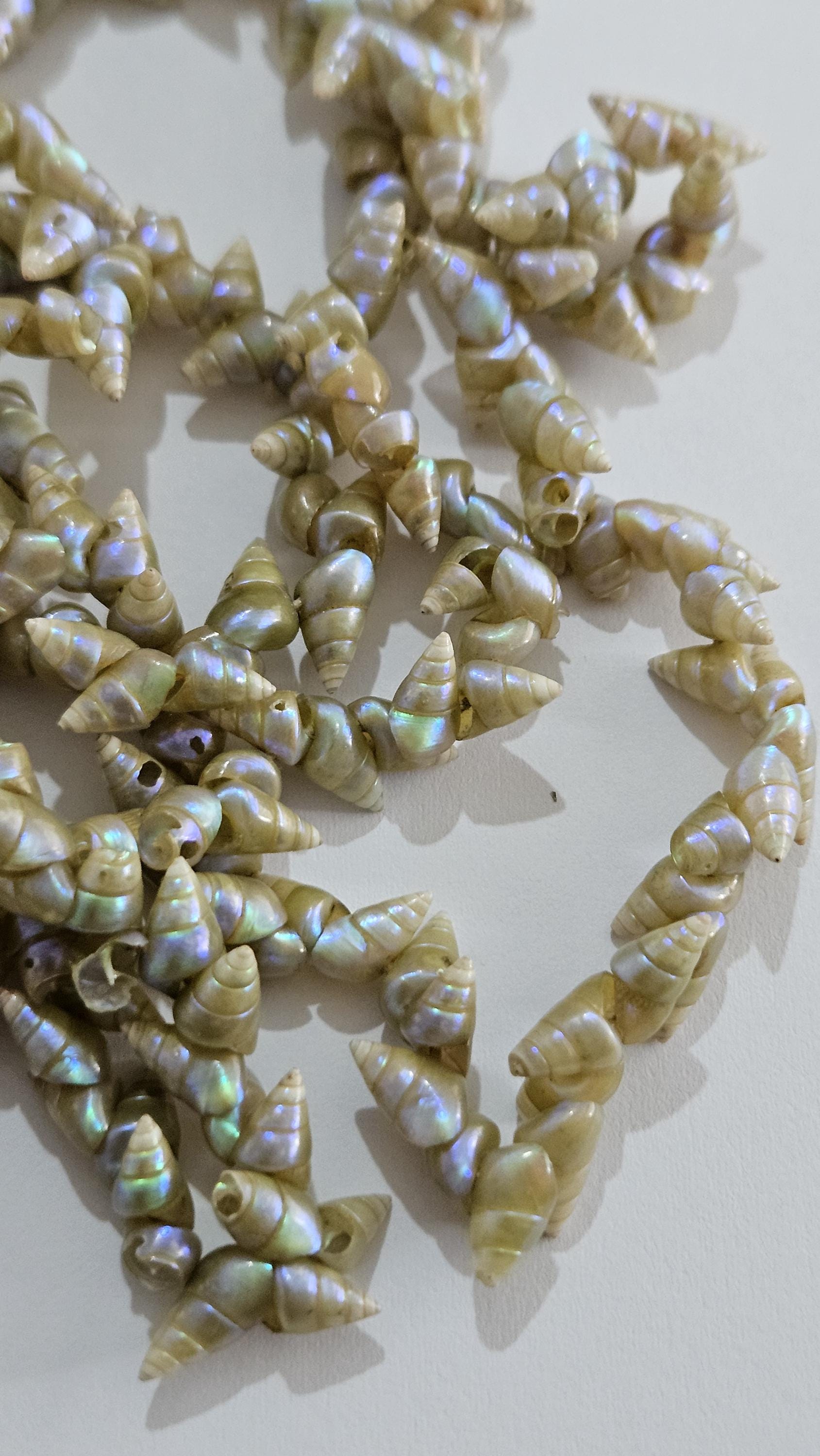 ANTIQUE Tasmanian Aboriginal MAIREENER Iridescent SHELL Necklace Rare ...