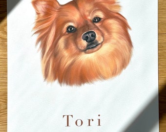 May include: A hand-drawn illustration of a red dog with fluffy fur. The dog is looking directly at the viewer with a sweet expression. The dog's name, "Tori", is written in brown text below the image.