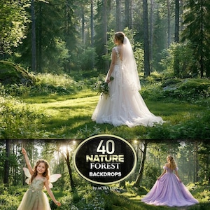 40 sfondi naturali con foreste, sfondi di foreste profonde, download digitale