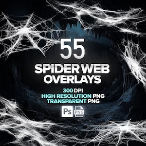 55 Spider Web Overlays, Realistic Cobweb, Spooky Halloween Clipart, Transparent PNG, Digital Download