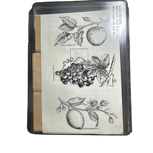 May include: Clear plastic case containing rubber stamps with fruit illustrations. The stamps include an apple branch, a bunch of grapes, and a lemon branch. The text "© 2002 STAMPIN' UP!" is visible on the stamps.