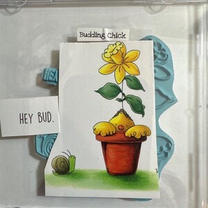 May include: A whimsical illustration of a yellow flower with green leaves and a smiling chick in a terracotta pot. A small green snail crawls on the grass. The text "Budding Chick" and "HEY BUD." are also present.