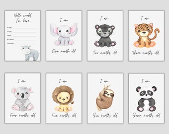 DIGITAL FILE Baby Month Cards, Printable File 26 cards