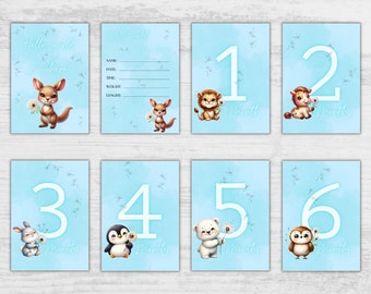 DIGITAL FILE Baby Month Cards for boy, Printable File 15 cards