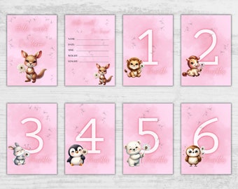 DIGITAL FILE Baby Month Cards for girl, Printable File 15 cards