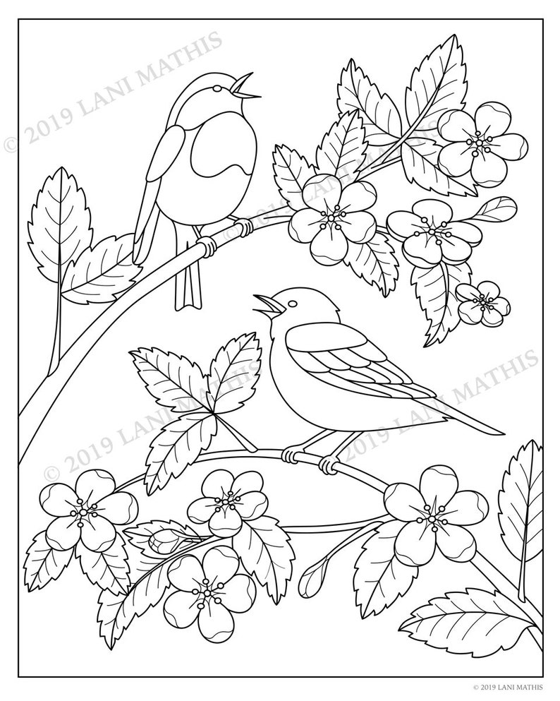 Coloring Page || Digital Download || Garden || Birds || Flowers || PDF ...