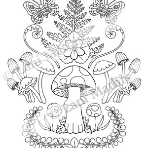 Coloring Page Digital Download Mushrooms Ferns Moths PDF image 2