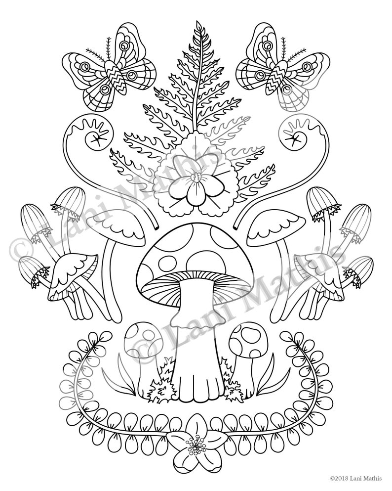 Coloring Page Digital Download Mushrooms Ferns Moths PDF image 2