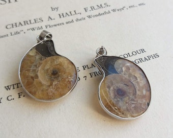 Ammonite Fossil Pendants - matching halves - natural stone with silver plated findings - 1" - 2 pieces - spiral