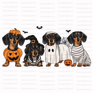 May include: Three dachshund dogs dressed in Halloween costumes. One dog is wearing a pumpkin costume, another is wearing a witch costume, and the third is wearing a ghost costume.