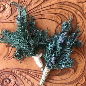 May include: Two sprigs of green juniper with blue berries tied together with twine. The sprigs are on a brown leather background with an embossed pattern.