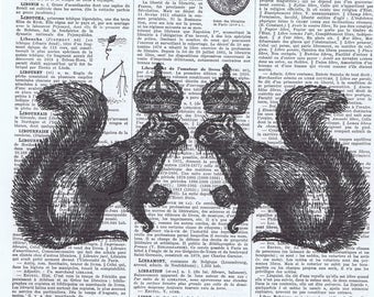 Pretty picture.Squirrel.King.Crown.Queen.Book Page,Antique Print.French,Paris,christmas gift idea,home deco,Buy 3 get one FREE.mom.dad.retro