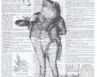 Frog Man,Antique French Book Page.Vintage.retro.Birthday Gift.wife.buy 3 get 1 free.mixed media.deco.nursery.child,art.toad.anthropomorphic