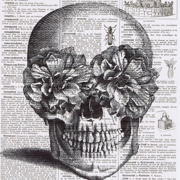 Birthday, OOAK, Gift , French, printed in Paris, Vintage Skull, flowers,  Altered, Repurposed,  Antique Book Page, buy 3 get 1 free