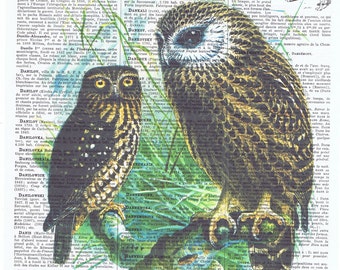 Owls.Bird,Antique French Book Page.Vintage.retro.Birthday Gift.buy 3 get 1 free.mixed media.deco.nursery.child,altered art.avian.feather