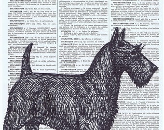 Scotch Terrier.Scotty.Dog.Canine.antique book page print.vintage illustration.paris.french.gift.child.nursery.den.home deco.art.pet.eco.mom