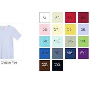 May include: A light blue short sleeve tee shirt with a v-neck. A color chart shows 22 different color options for the shirt.