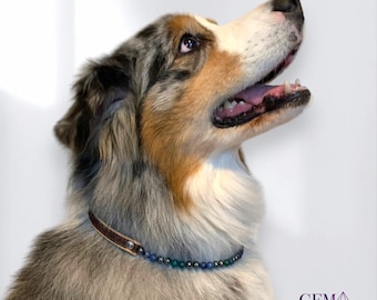 Self-healing dog collar, pain relief, for old age • Crystal healing • Animal well-being • Natural semi-precious stones • Gift/Christmas