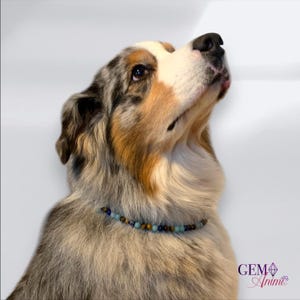 Collier chien peu sociable, réactif aux congénères, soumis, dominant • Lithothérapie • Bien-être animal • Pierres semi-précieuses naturelles