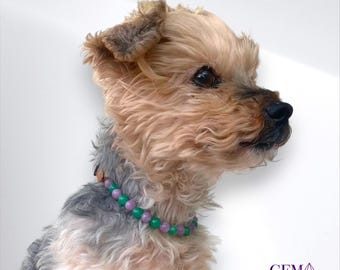 Dog collar for nervous itching, skin problems • Lithotherapy • Animal well-being • Natural semi-precious stones • Gift/Christmas
