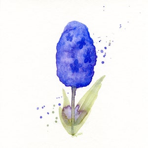 Original watercolor painting, Hyacinth image 1