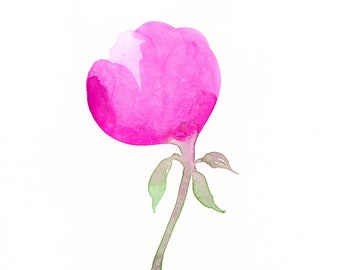 Original watercolor flower painting, "Pivoine"