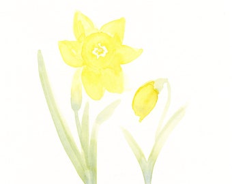 Original watercolor painting, "Daffodils"