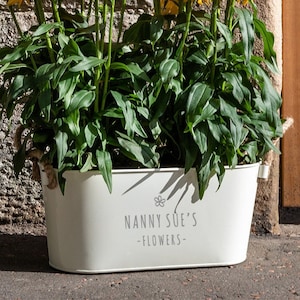 Peut inclure: Un pot en métal blanc avec une poignée en corde, rempli de fleurs jaunes et de feuilles vertes. Le pot porte l'inscription "NANNY SUE'S -FLOWERS-  ".