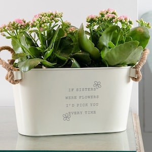 May include: White metal planter with rope handles, featuring the text "If sisters were flowers I'd pick you every time". The planter is filled with green plants with pink flowers.