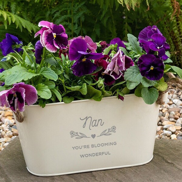 "Gravierter Blumen Blumentopf ""Nan You're Blooming Wonderful"" - Einzigartige Indoor Outdoor Kräuterpflanzer - Geburtstags- oder Muttertagsgeschenk für Nan."