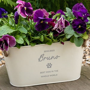 May include: White oval planter with a rope handle, filled with purple and white pansies. The planter has the text "2010-2023 Bruno Best Dog in the Whole World" printed on it.